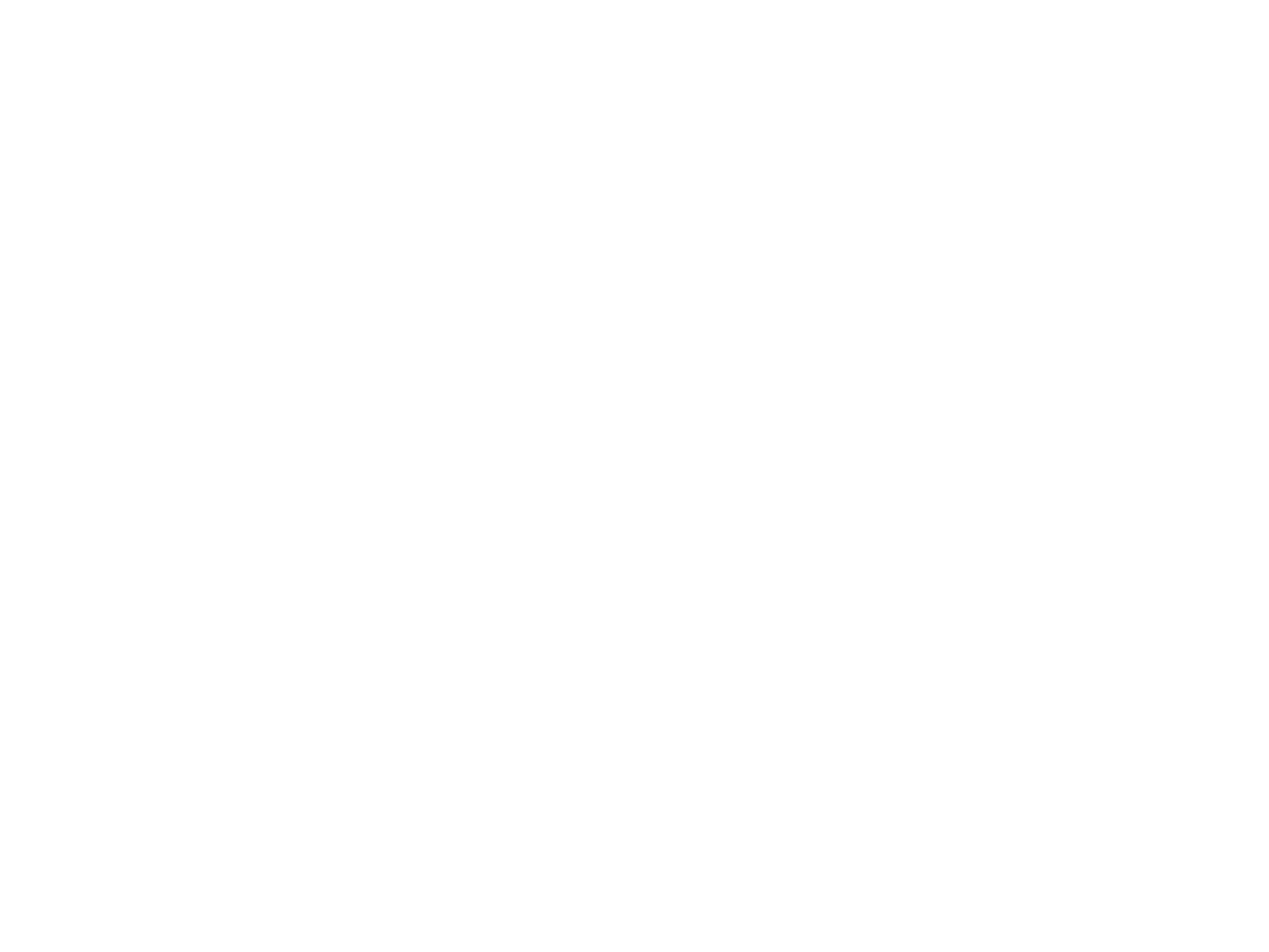 logo stylist blanc